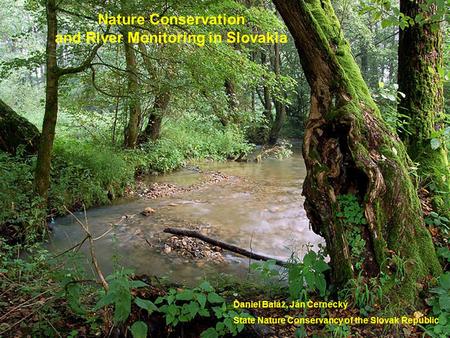 Daniel Baláž, Ján Černecký State Nature Conservancy of the Slovak Republic Nature Conservation and River Monitoring in Slovakia.