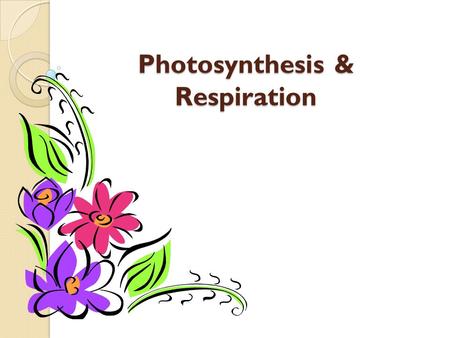 Photosynthesis & Respiration. What is Photosynthesis? The process of photosynthesis is a chemical reaction. It is the most important chemical reaction.