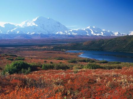 About the Tundra ● Coldest of all biomes ● Short season of growth and reproduction ● Poor Nutrients ● 2 types: – Arctic Tundra – Alpine Tundra.