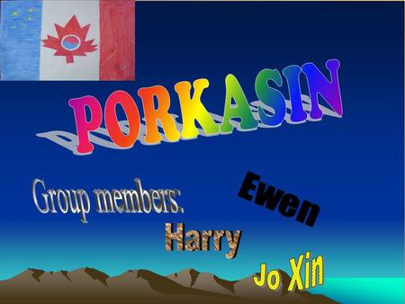 PORKASIN Group members: Ewen Harry Jo Xin.