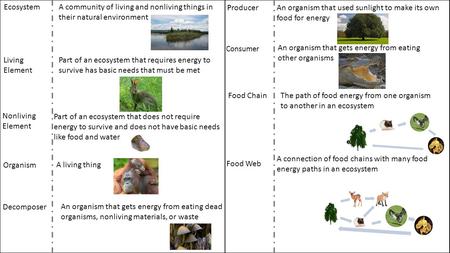 EcosystemA community of living and nonliving things in their natural environment Living Element Part of an ecosystem that requires energy to survive has.