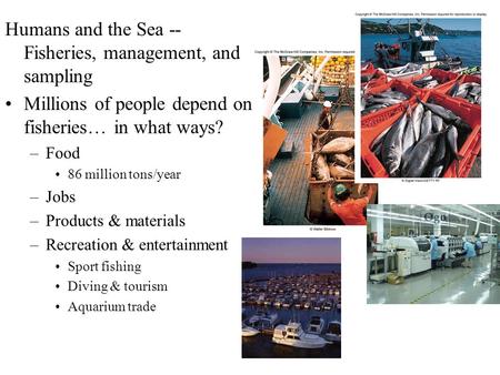 Humans and the Sea -- Fisheries, management, and sampling Millions of people depend on fisheries… in what ways? –Food 86 million tons/year –Jobs –Products.