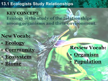 New Vocab: Ecology Community Ecosystem Review Vocab: Biome Organism