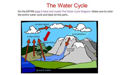 The Water Cycle On the ENTIRE page 5 label and create The Water Cycle Diagram. Make sure to color the entire water cycle and label all the parts. Transpiration.