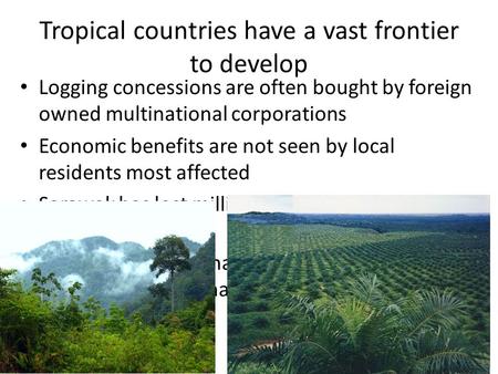 Tropical countries have a vast frontier to develop Logging concessions are often bought by foreign owned multinational corporations Economic benefits are.