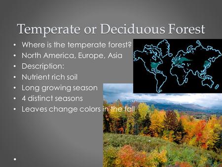 Temperate or Deciduous Forest