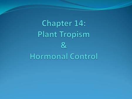 How do plants respond to their environment? Plants can’t move or see! Plants respond to stimuli Physical factors ? Chemical factors.