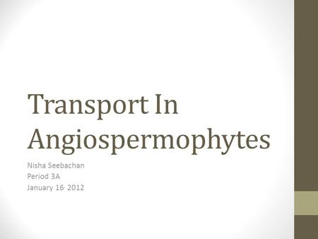 Transport In Angiospermophytes Nisha Seebachan Period 3A January 16, 2012.