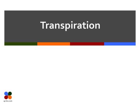 Transpiration. Slide 2 of 32 Transport Overview  Plants need CO 2, Sunlight and H 2 O in the leaves  ONLY H 2 O needs to be transported to the leaves.