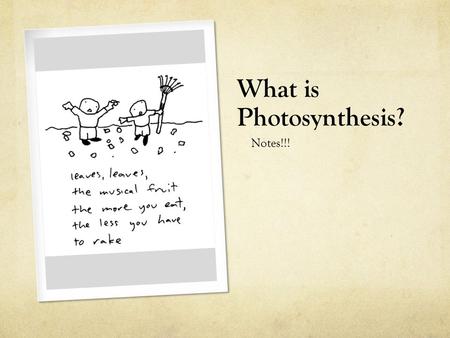 What is Photosynthesis?