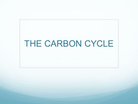 THE CARBON CYCLE.