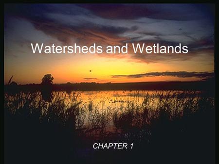 Watersheds and Wetlands