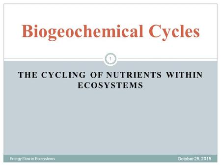 Biogeochemical Cycles