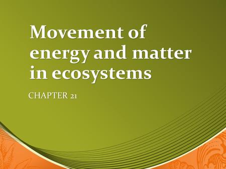 Movement of energy and matter in ecosystems