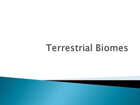 1. What is a biome? Give an example. 2. Why do different parts of the world, with similar climates, have species that look very similar to one another?