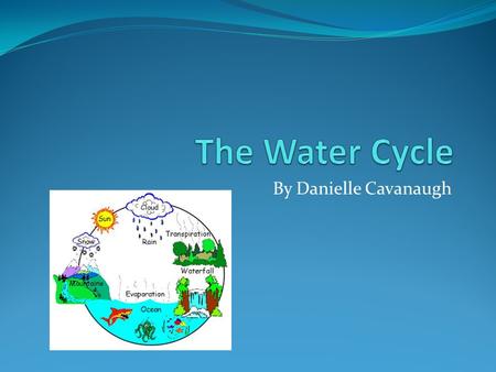 By Danielle Cavanaugh. Key Vocabulary Words Evaporation Condensation Precipitation Run-off.