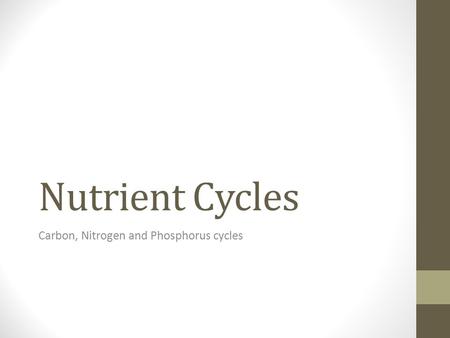 Carbon, Nitrogen and Phosphorus cycles