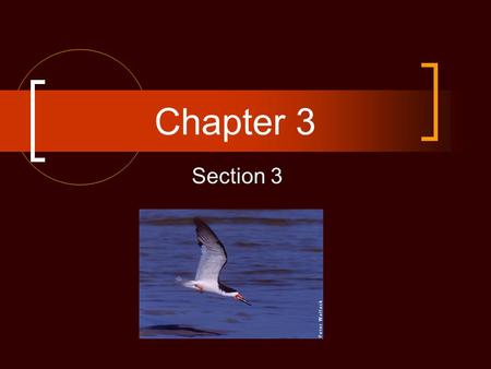 Chapter 3 Section 3.