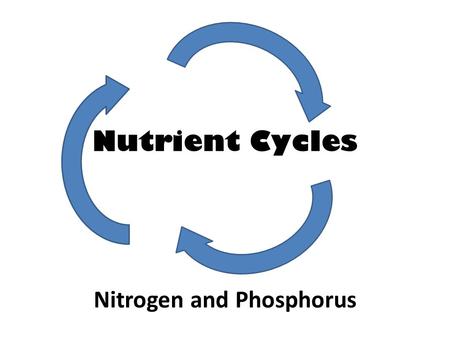 Nutrient Cycles Nitrogen and Phosphorus. WHY DO WE NEED NITROGEN?? – Nitrogen is needed to make up DNA and protein! In animals, proteins are vital for.