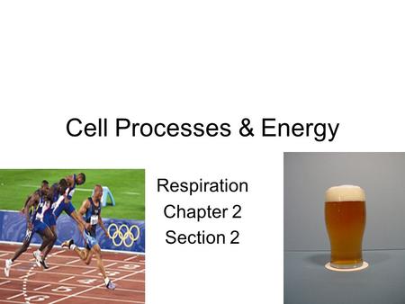 Cell Processes & Energy Respiration Chapter 2 Section 2.