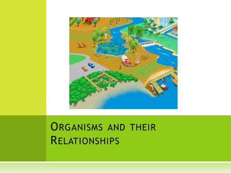 O RGANISMS AND THEIR R ELATIONSHIPS. Ecology  The study of relationships between living organisms and the interaction they have with their environments.