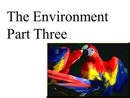 The Environment Part Three. The aerosol can & fridges have CFCs which are harmful to the atmosphere. Even when disposed of they pose a threat.