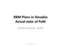 RBM Plans in Slovakia Actual state of PaM Emília Kuníková, VUVH Košice, 18th May 2010.