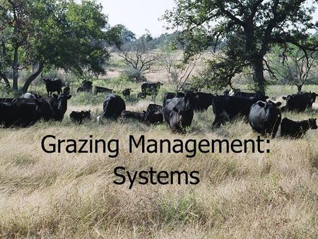 Grazing Management: Systems