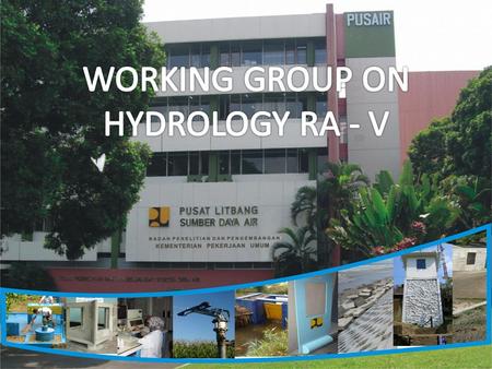 Working Group on Hydrological Services (WG-HYS) Lead of Working Group on Hydrological Services Theme Leader in WHYCOS Theme Leader in WHYCOS Theme Leader.