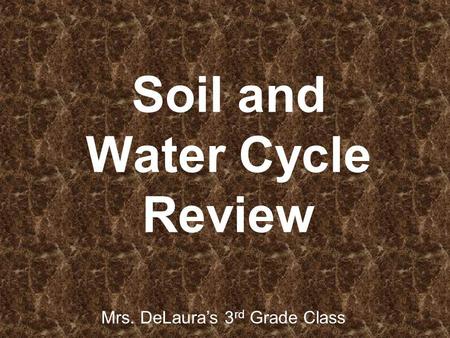 Soil and Water Cycle Review