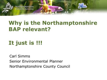 Why is the Northamptonshire BAP relevant? Carl Simms Senior Environmental Planner Northamptonshire County Council It just is !!!