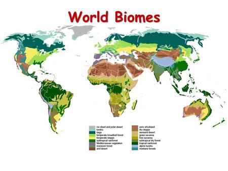 World Biomes.