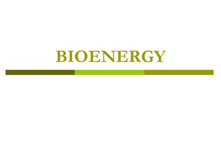 BIOENERGY.