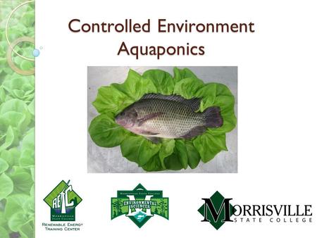 Controlled Environment Aquaponics