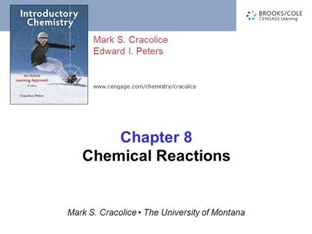 Chapter 8 Chemical Reactions