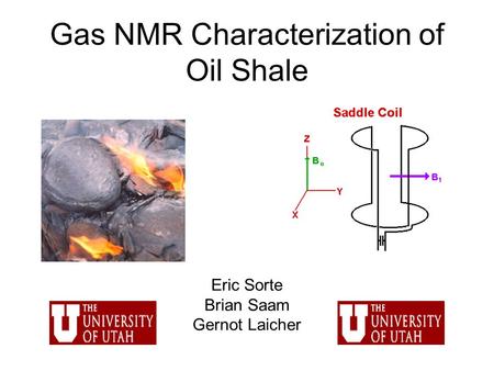 Gas NMR Characterization of Oil Shale