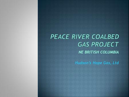 NE BRITISH COLUMBIA Hudsons Hope Gas, Ltd. Introductory key points Background / History Project partners Location / Setting Coalbed gas resource Technical/