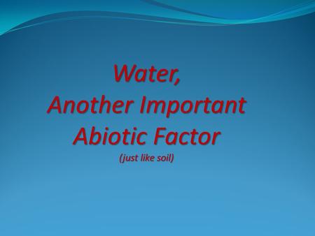 Another Important Abiotic Factor