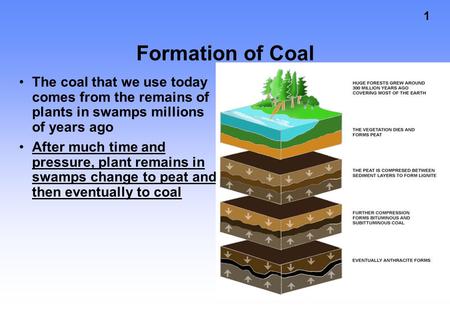 Formation of Coal The coal that we use today comes from the remains of plants in swamps millions of years ago After much time and pressure, plant remains.