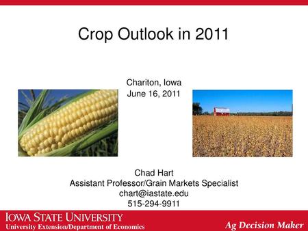 Assistant Professor/Grain Markets Specialist