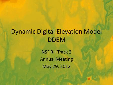 Dynamic Digital Elevation Model DDEM NSF RII Track 2 Annual Meeting May 29, 2012.