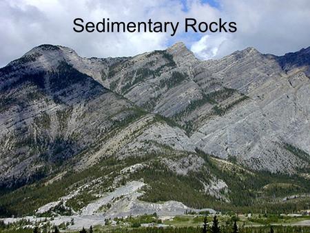 Sedimentary Rocks.