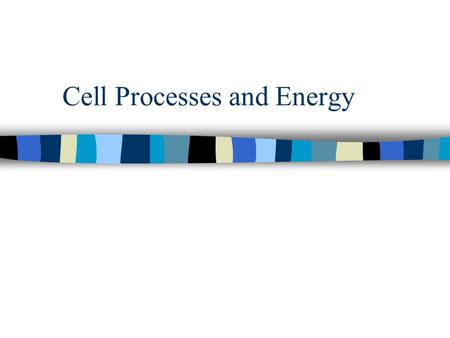 Cell Processes and Energy