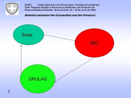 SAEFLSwiss Agency for the Environment, Forests and Landscape Taller Regional Dirigido a Promover la Ratification del Protocolo de Responsibilidad de Basilea.
