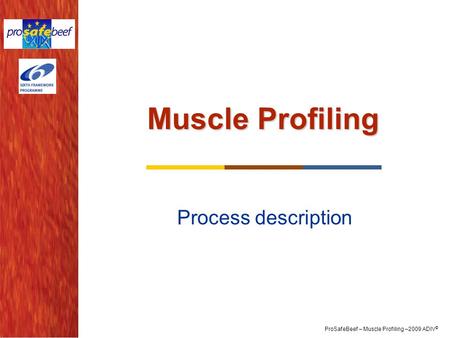 Muscle Profiling Process description 1.