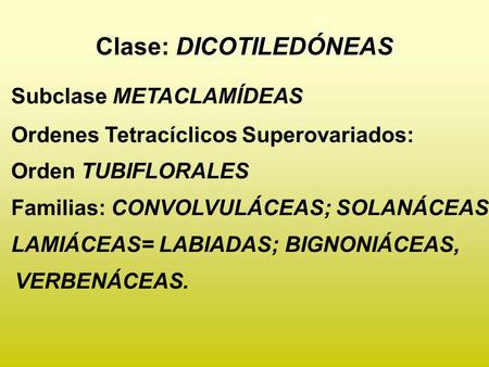 Clase: DICOTILEDÓNEAS