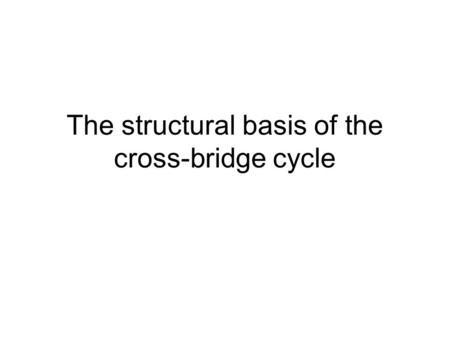 The structural basis of the cross-bridge cycle