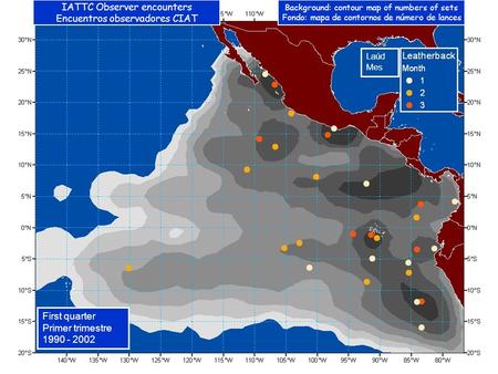 Laúd Mes First quarter Primer trimestre 1990 - 2002 IATTC Observer encounters Encuentros observadores CIAT Background: contour map of numbers of sets Fondo: