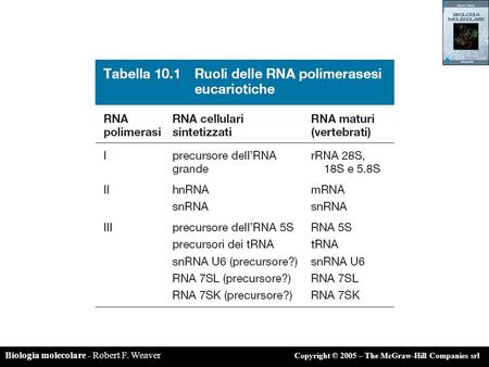 Watson et al. , BIOLOGIA MOLECOLARE DEL GENE, Zanichelli editore S. p