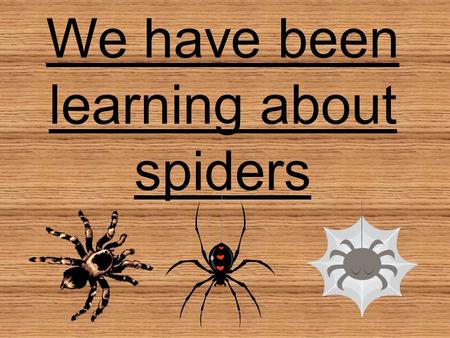 We have been learning about spiders. We read The Very Busy Spider.